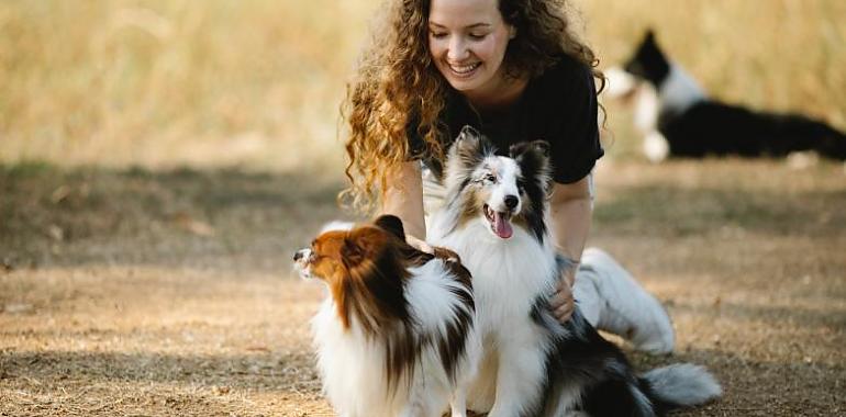 Proximamente Avilés contará con hasta cinco espacios para que los perros se ejerciten y diviertan en libertad
