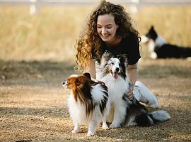 Proximamente Avilés contará con hasta cinco espacios para que los perros se ejerciten y diviertan en libertad