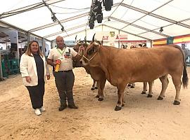 La consejera reafirma en Tineo el IES Agroecológico