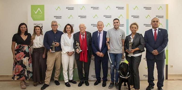 El Padre Ángel, los veterinarios que rescataron a los animales del volcán de La Palma y el perro guía Xabat,  Premios Bienestar Animal 
