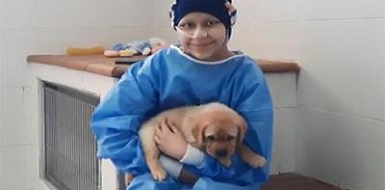 Los perros guía de la ONCE cumplen el deseo de una niña con cáncer 