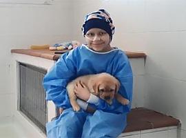 Los perros guía de la ONCE cumplen el deseo de una niña con cáncer 