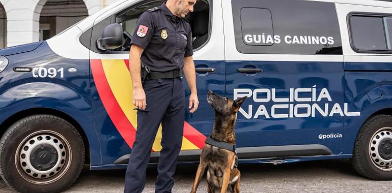 Condecorada Gea de Zhorava, perra de la Unidad Especial de Guías Caninos de Asturias