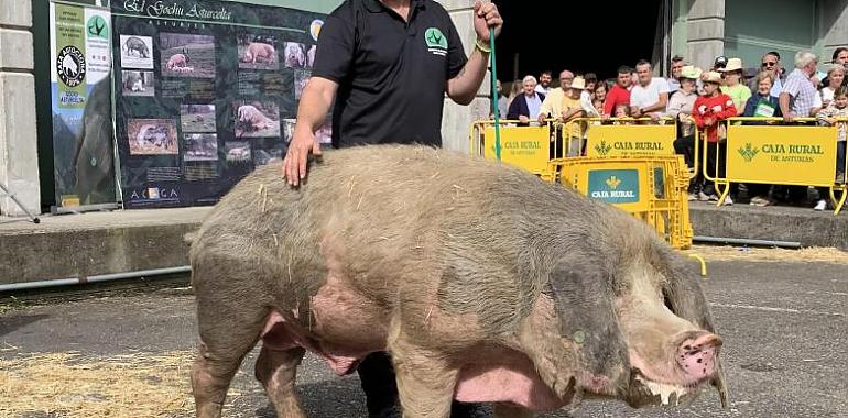 Kiko, Yerbata y Maki, trío de ases en Agrosiero   