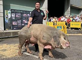 Kiko, Yerbata y Maki, trío de ases en Agrosiero   