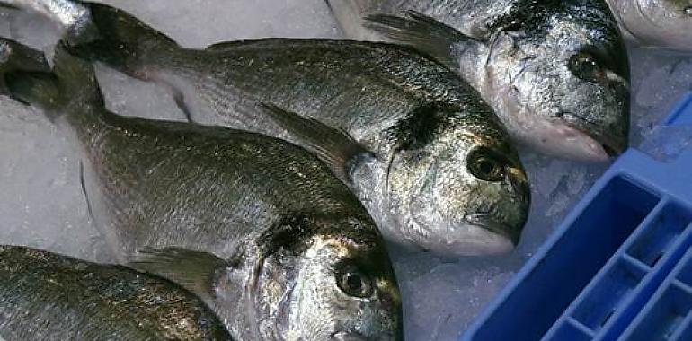 El pescado y el peligro del mercurio ¿Sabes qué pescados son más seguros