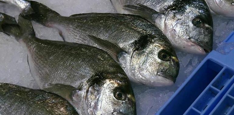Estos son los pescados más seguros por sus bajos niveles de mercurio