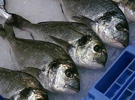 Estos son los pescados más seguros por sus bajos niveles de mercurio