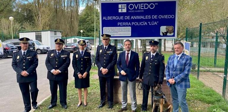 El Albergue municipal de animales de Oviedo rinde homenaje y lleva el nombre de Perra policía Lúa