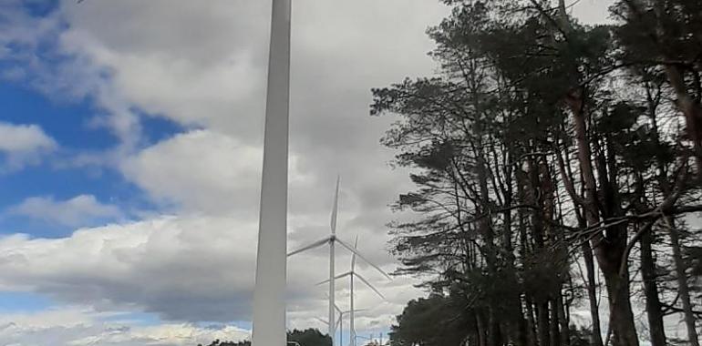 Según los ecologistas el parque eólico Pravia no es viable por incumplir las distancias de los molinos a la población