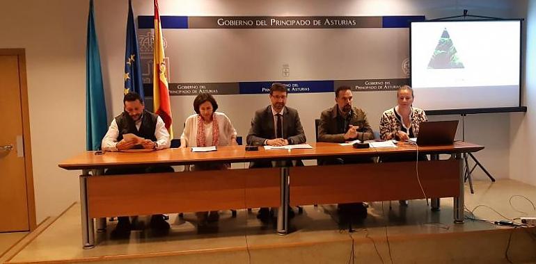 El nuevo Plan de Seguridad Laboral plantea 39 líneas de actuación para rebajar la siniestralidad