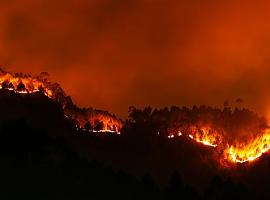 En estos momentos se contabilizan 19 incendios forestales en 9 concejos de la región 