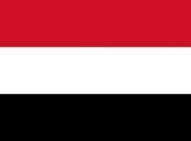 El presidente de Yemen abandona el poder 