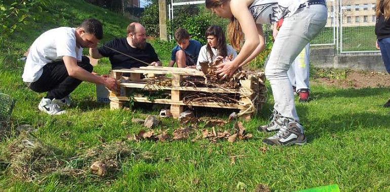 Yoga, experimentos y talleres de esquejes en el Bosque Comestible de Avilés