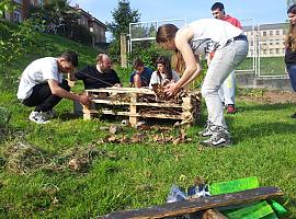 Yoga, experimentos y talleres de esquejes en el Bosque Comestible de Avilés