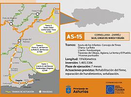 El Principado inicia las obras de mejora del corredor del Narcea con una inversión de 1,5 millones