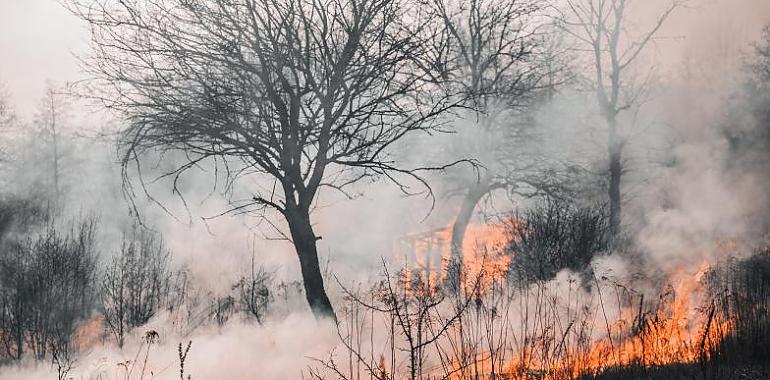 7 incendios todavía se encuentran activos en Asturias