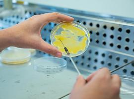 En España tenemos a algunos de los mejores investigadores del mundo