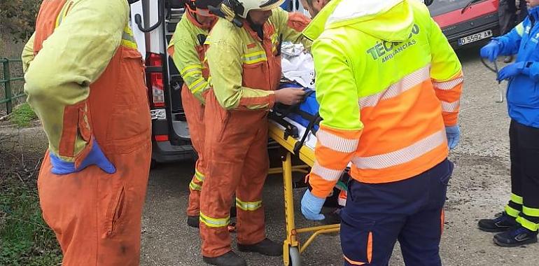 Herido un leñador en Cangas del Narcea tras caer cinco metros desde un árbol