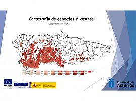 Se publica la mayor recopilación divulgada hasta ahora de datos cartográficos sobre espacios naturales y animales silvestres