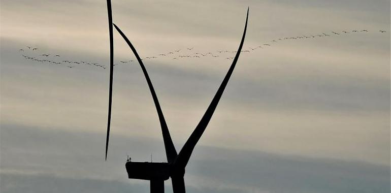Científicos contra el nuevo Reglamento europeo para despliegue de energía renovable