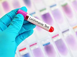 ¿Sabrías detectar si tu perro tiene Leishmaniosis