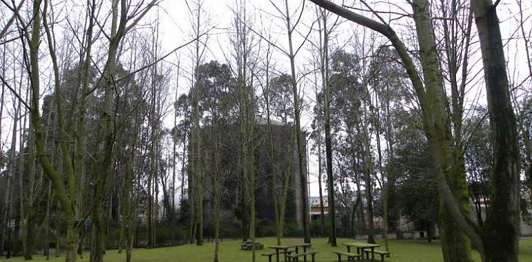 El Ayuntamiento de Avilés destina 36.000 euros a 83 bancos y 22 mesas de picnic a colocar en parques y zonas verdes
