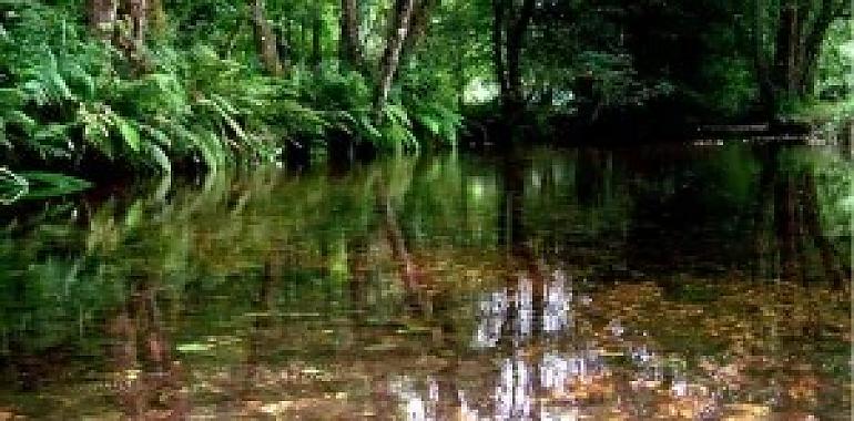 Sale a licitación por 956.000 euros la renovación del saneamiento del río Aranguín, en Pravia
