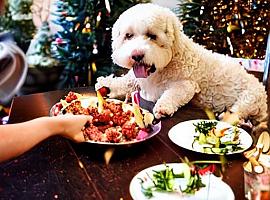 ¿Quieres un menú para que tu perro cene con clase y elegancia en la noche de Fin de año Aquí te lo ofrecemos
