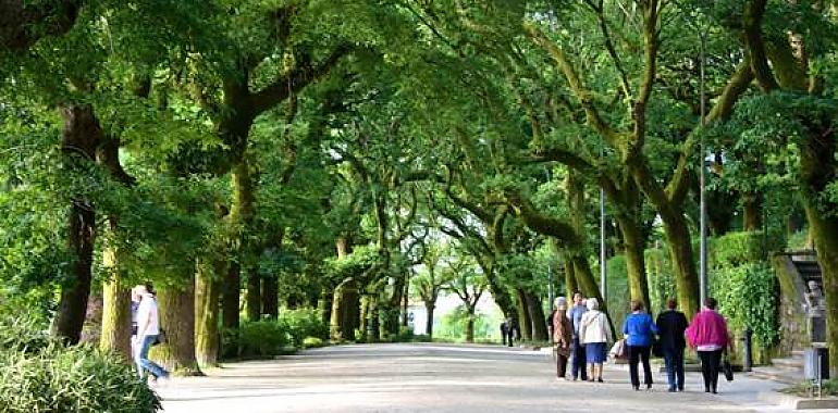 La biodiversidad del suelo es fundamental en el mantenimiento y funcionamiento de las zonas verdes urbanas