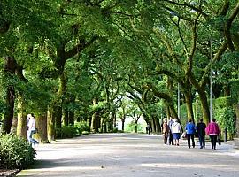 La biodiversidad del suelo es fundamental en el mantenimiento y funcionamiento de las zonas verdes urbanas