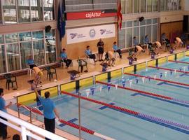 El Club Natación Santa Olaya entrega sus Insignias de Oro 2011