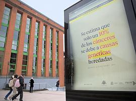 Amplio programa divulgativo con ocasión del Día Mundial contra el Cáncer por parte de La Universidad de Oviedo
