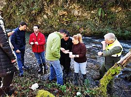 Confianza en que va a dar buen resultado la acción de repoblación con 15.000 huevas de trucha en el río Pajares