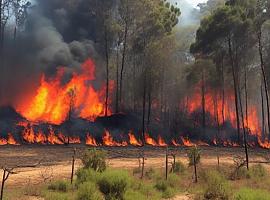 6 puntos de la región donde aún tenemos focos incendiarios