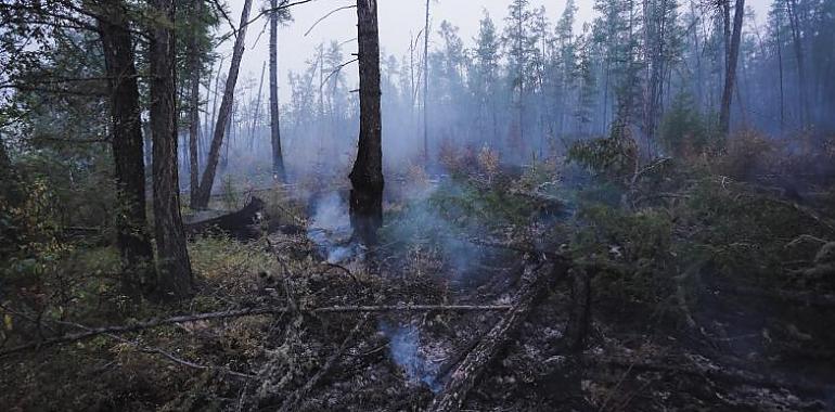 Por fin se han extinguido los incendios forestales de estos últimos días y se ha regresado a la fase de ALERTA