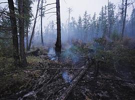 Por fin se han extinguido los incendios forestales de estos últimos días y se ha regresado a la fase de ALERTA