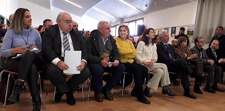 Asturias tendrá oficinas de justicia en cinco municipios para reemplazar a los juzgados de paz