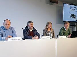 inauguración de las IV Jornadas Apícolas Internacionales Promiel Asturias en Gijón