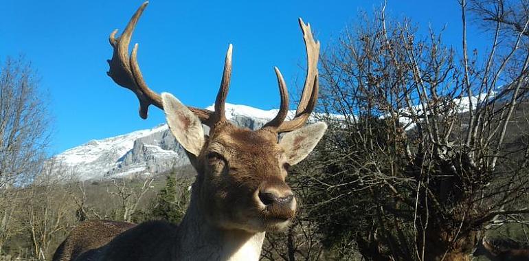 El Parque de la Prehistoria de Teverga se suma al Día de la Naturaleza y también al Día de la Mujer