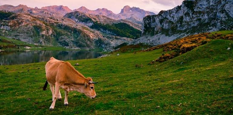 ¿Que haces cuando un amigo te pregunta: que me recomiendas visitar en Asturias un fin de semana Pues ahí va la respeuesta con horarios incluidos 