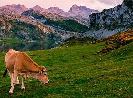 ¿Que haces cuando un amigo te pregunta: que me recomiendas visitar en Asturias un fin de semana Pues ahí va la respeuesta con horarios incluidos 