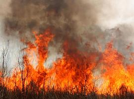 A estas horas se contabilizan en la región 19 incendios forestales en una decena de concejos