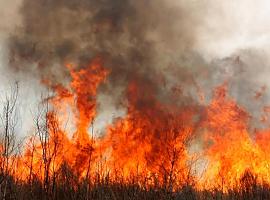 A esta hora continuamos teniendo en la región demasiados incendios forestales