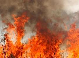 Al menos 8 focos con fuego en territorio asturiano en este momento