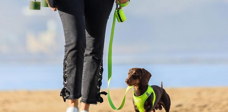 ¿Quieres llevarte a tu perro a una playa esta Semana Santa Aquí hay algunas