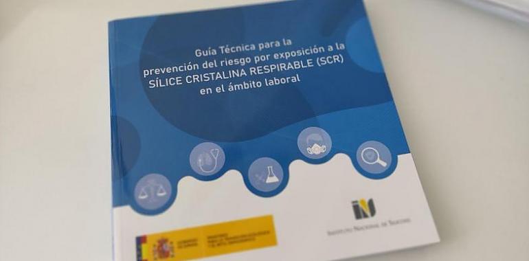 Se elabora una guía general de prevención de los riesgos a la exposición a la sílice cristalina respirable