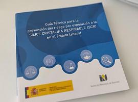 Se elabora una guía general de prevención de los riesgos a la exposición a la sílice cristalina respirable