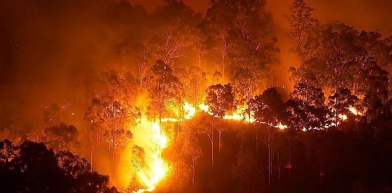 A primera hora de la mañana la situación de los incendios en Asturias no tiene nombre, porque se contabilizan hasta 38 focos incendiarios