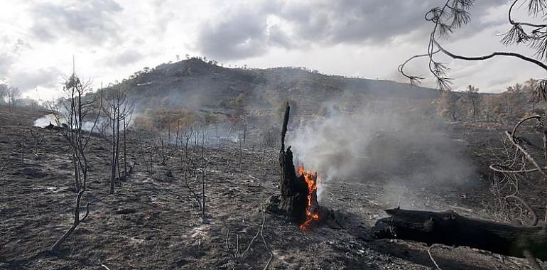 El control se sigue manteniendo en los focos incendiarios de la región